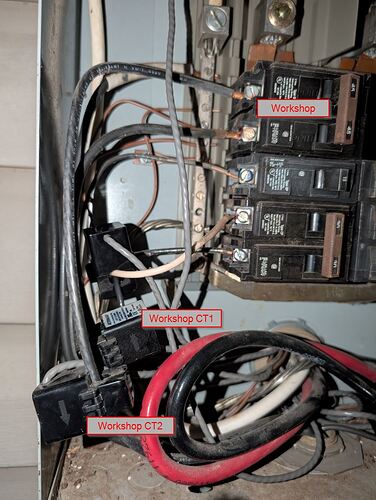 PXL_20250808_010741487 (Medium)